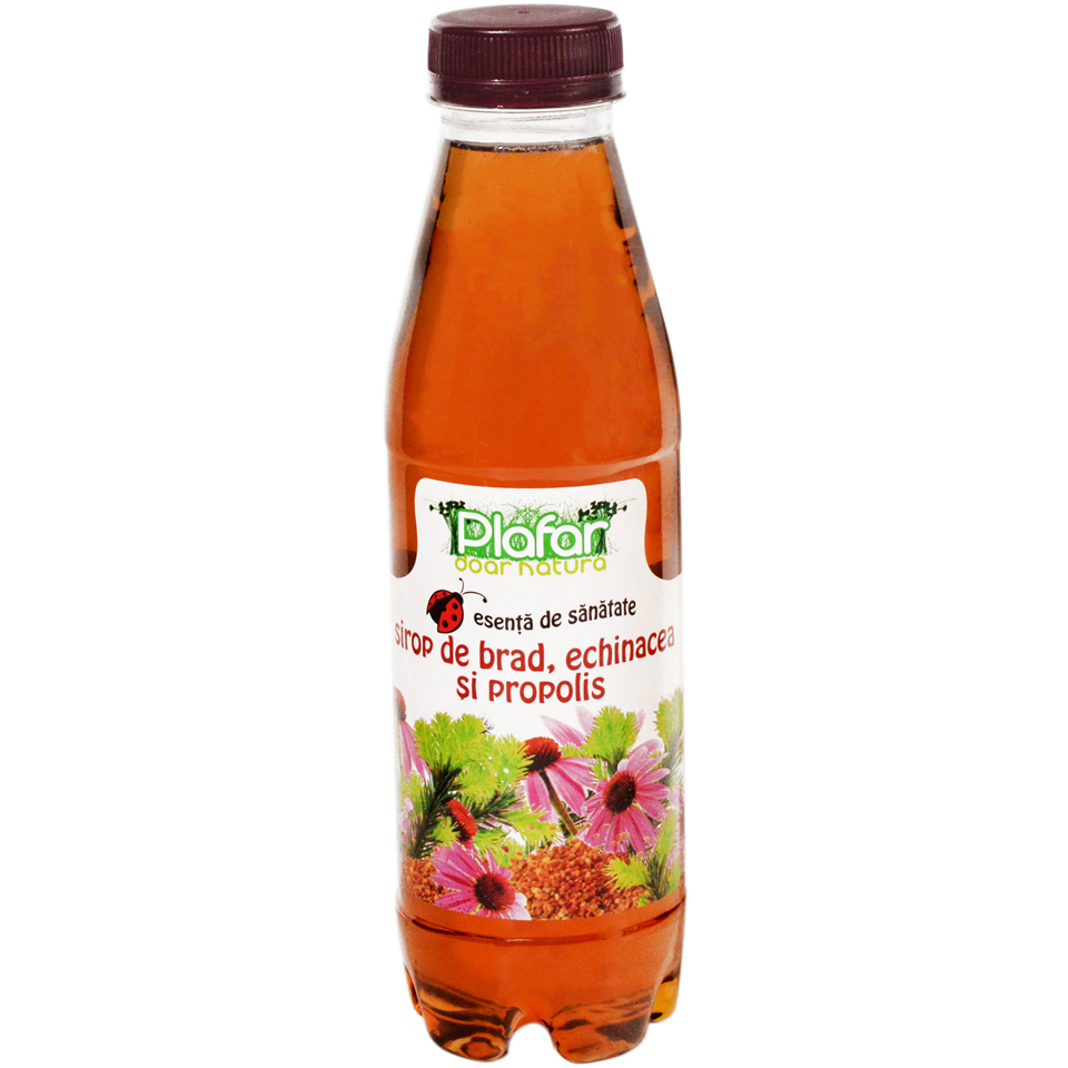 Sirop de muguri de brad, echinacea si propolis, 500ml, Plafar