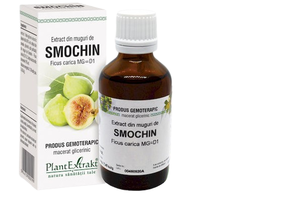 Extract din muguri de smochin, 50ml, PlantExtrakt