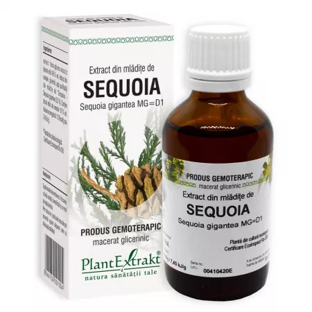 Extract din mladite de sequoia, 50ml, PlantExtrakt