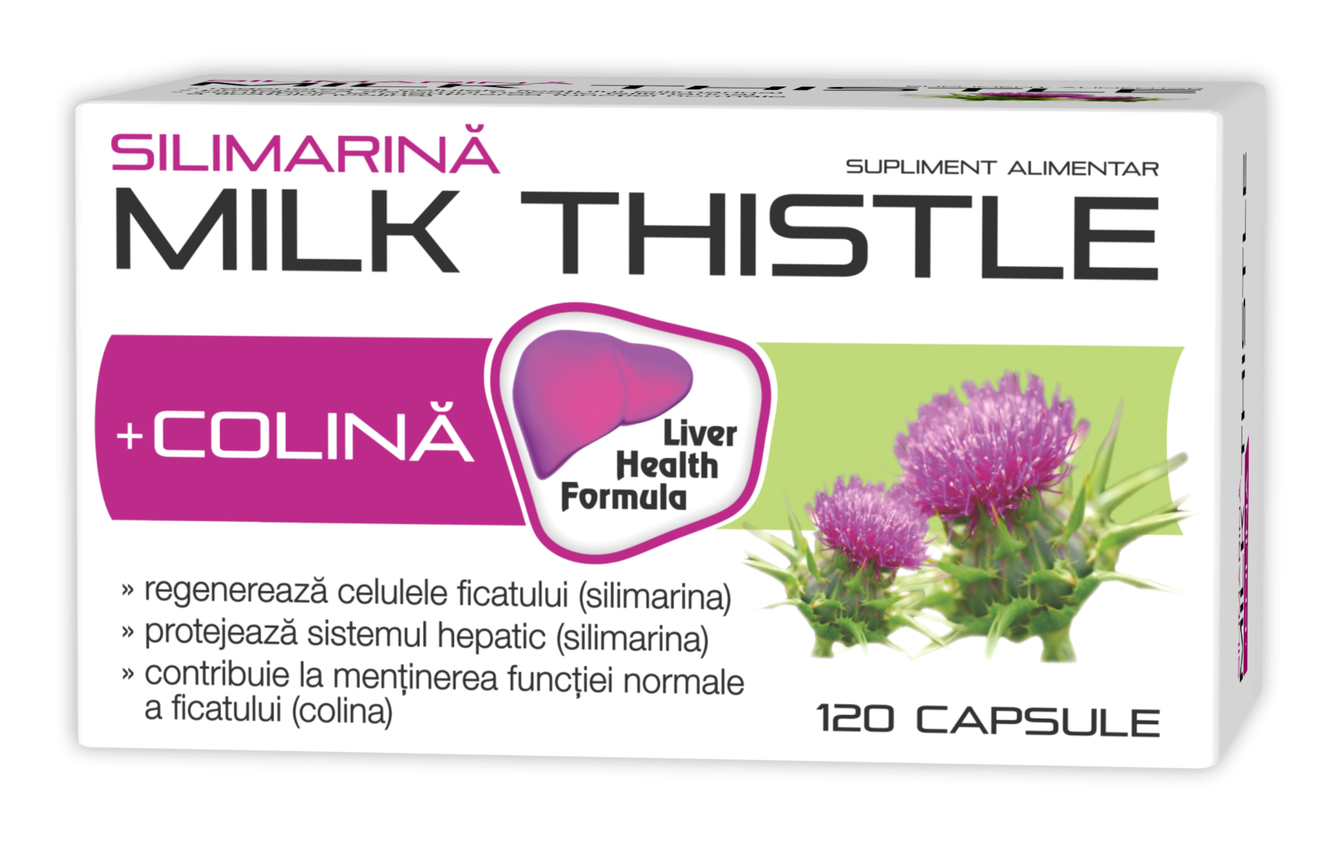 Silimarina Milk Thistle + Colina, 120 capsule, Zdrovit